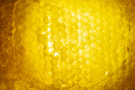 Close-Up Texture of Golden Honeycomb with Fresh Honey