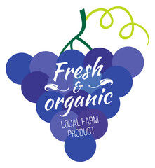 Obraz premium Local vineyard logo. Grape shape for fresh organic farm product
