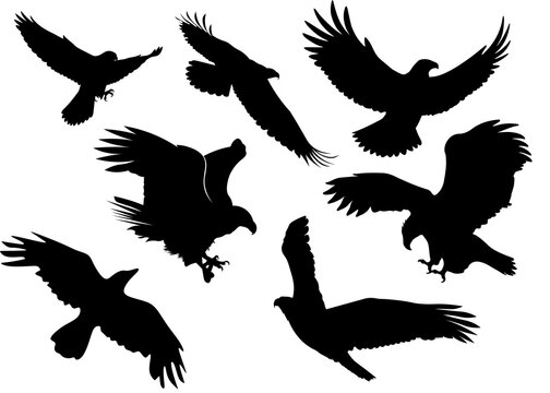 set of silhouettes of birds