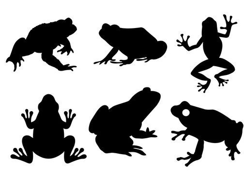 frog silhouette vector