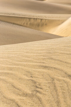 Dunas de Maspalomas sand dunes desert on Gran Canaria island in Spain