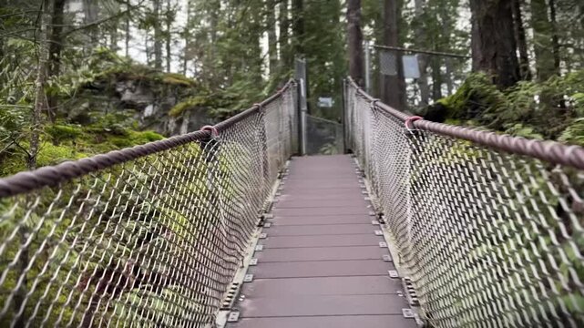 Suspension footbridge crossing through lush green forest at Lynn Canyon in Vancouver, wooden walkway with wire railings surrounded by mossy trees and ferns.
