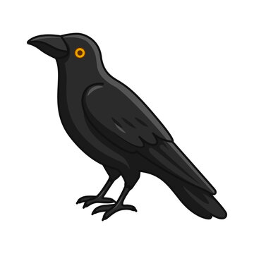 Vector illustration of Black Bird on transparent background