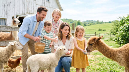 Obraz premium Family meeting and feeding friendly animals at educational farm