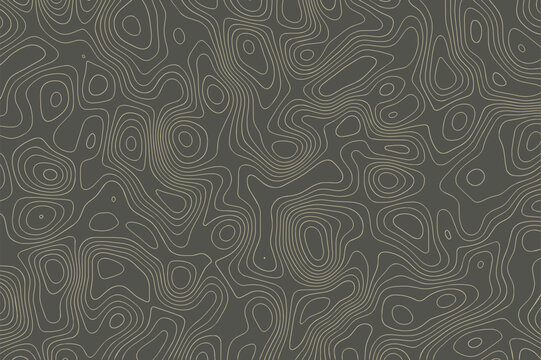 Abstract topographic background with lines map contour effect. Grey geographic mapping pattern with outline flowing relief altitude and white linear elevation assignments. Vector illustration.