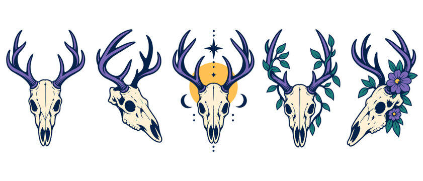 Set of decorative deer skulls with antlers and botanical details