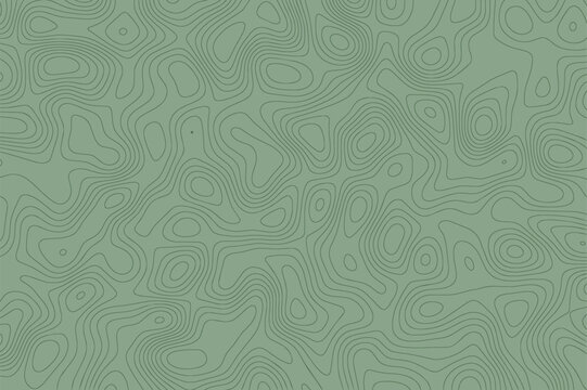 Abstract topographic background with lines map contour effect. Green geographic mapping pattern with relief altitude, linear elevation assignments, minimalist organic shapes. Vector illustration.