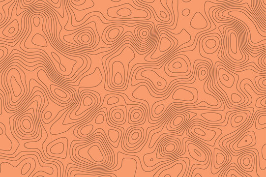 Abstract topographic background with lines map contour effect. Orane geographic mapping pattern with relief altitude, linear elevation assignments, minimalist terrain topography. Vector illustration.