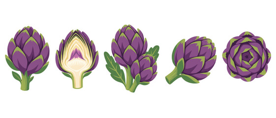 Fototapeta premium Purple artichoke set with whole and cutaway views