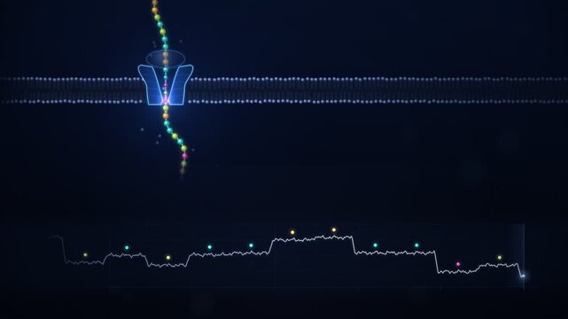 Nanopore DNA Sequencing Strand Passing Through Protein Pore Seamless Loop
