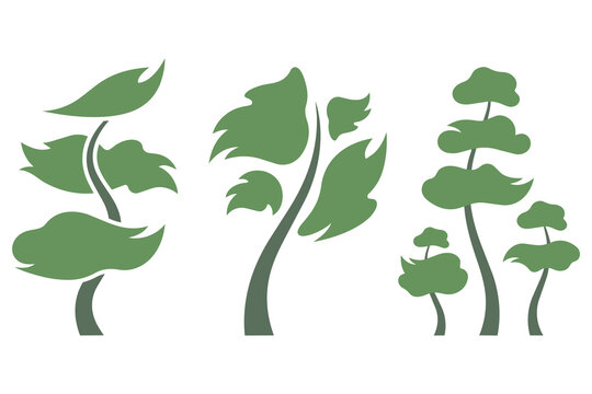 Set of three stylized green deciduous and coniferous tree vectors with illustration woodland botanical environment landscape abstract stylized
