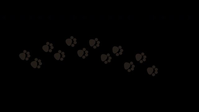 Cat dark paw prints looping animation on transparent background