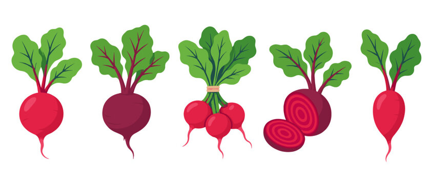 Set of radishes and beets with leafy green tops