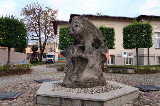 Kielce, Poland. Statue of a boar called "Kiełek" (Polish: Pomnik Dzika w Kielcach) Kielce in Artists' Square. Created by Bolesław Michałek and inaugurated on November 6, 2006.