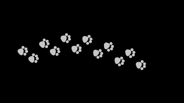 Cat white paw prints looping animation on transparent background