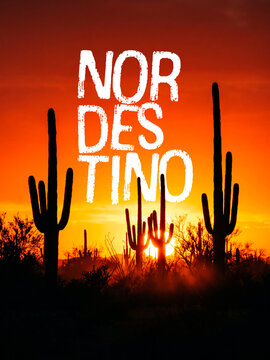 Dia do Nordestino Paisagem Sert&atilde;o e Cactos Post Card Insta Template Banner