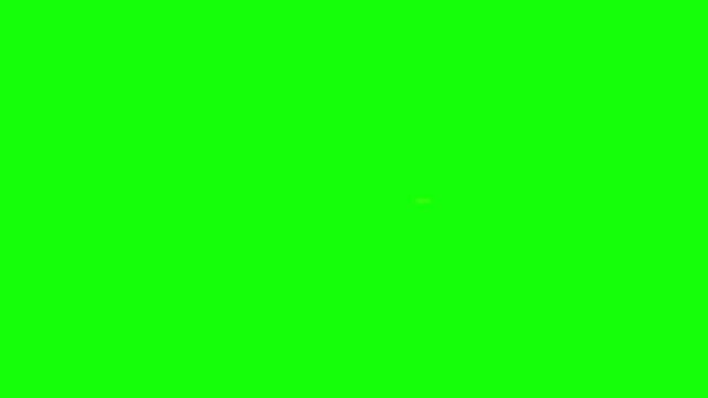 Have a Lovely Day Sine Wave Text Animation on Green Screen