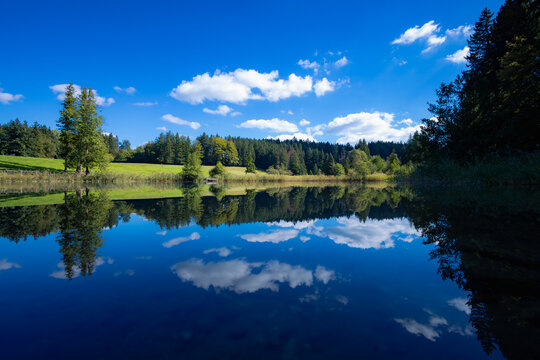 Weiher bei Etting