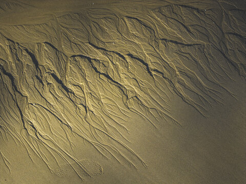Aerial view of intricate dendritic water runoff patterns etched into the golden sand of a beach in Galicia, Spain.