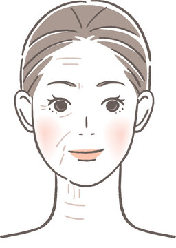老化する前と後の女性の顔