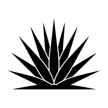 Stylized black agave leaf silhouette vector in asymmetric side view botanical design
