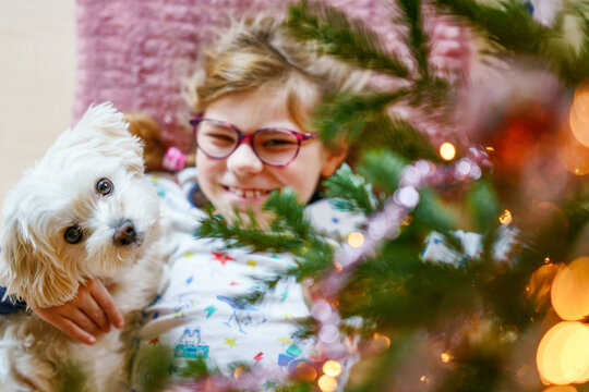 Smiling girl with glasses hugging her dog at home near a decorated Christmas tree, cozy family moment with warm lights, authentic real life scene.