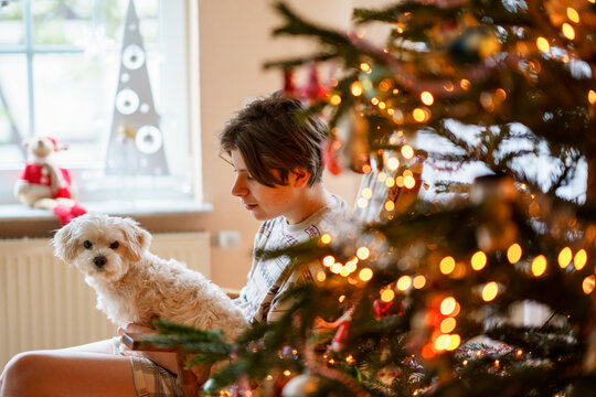 Teenage boy sitting indoors holding a small dog next to a decorated Christmas tree with warm lights, calm cozy holiday moment at home.
