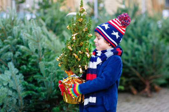 Adorable little smiling kid boy holding Christmas tree on market. Happy healthy child in winter fashion clothes choosing and buying big Xmas tree in outdoor shop. Family, tradition, celebration.
