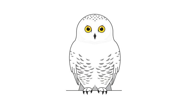 Snowy owl perched against a plain white background with bright yellow eyes.