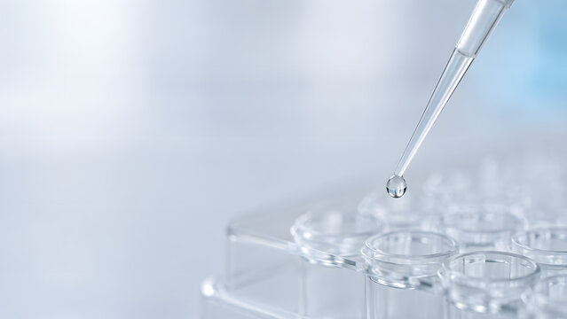 Laboratory pipette holding a clear droplet above microplate well