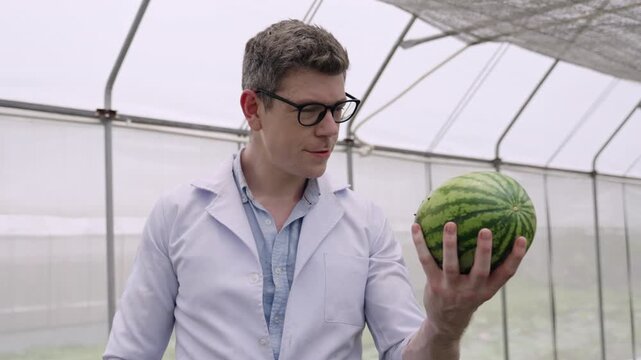 Handsome Caucasian biologist man in a lab coat, wearing glasses, standing, holding a fresh watermelon for examination, analyzing it, and looking at camera with happiness in greenhouse at organic farm.