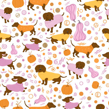 Seamless pattern with cute brown dachshund dogs in cozy knitted sweaters and autumn pumpkins.