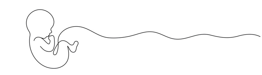 Obraz premium Baby in Womb One Line Drawing with Editable Stroke.
