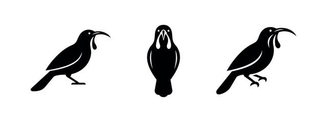 Fototapeta premium Exotic Curved Beak Bird Silhouette Icon Set