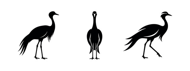Obraz premium Set of stylized black crane bird silhouettes with feathered details in various elegant poses, on white.