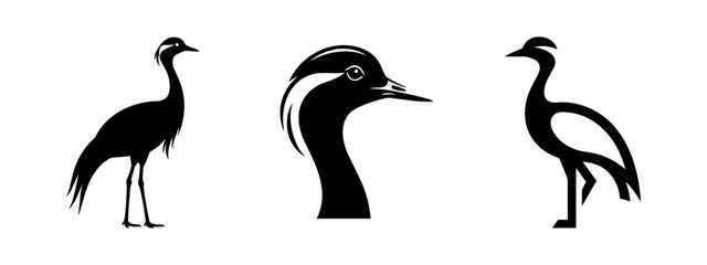 Obraz premium Collection of elegant black and outlined crane bird silhouettes, including a detailed head profile, on white.