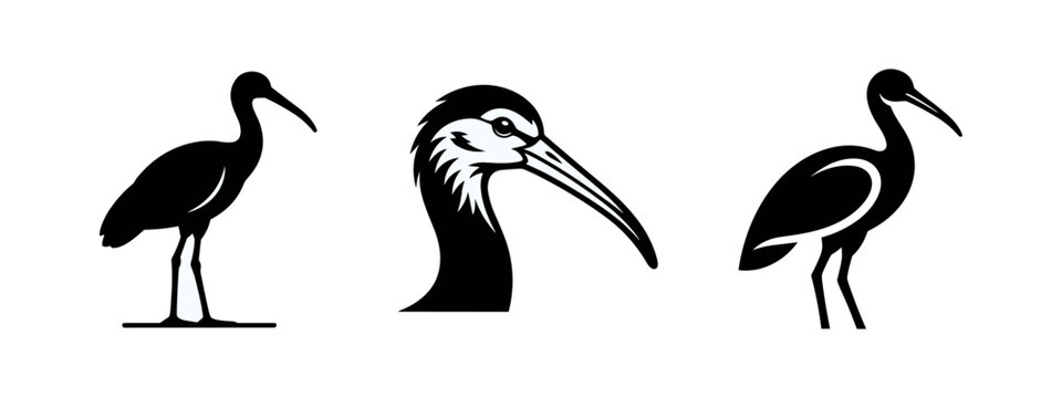 Collection of various black ibis bird silhouettes, including a detailed head profile, on a clean white background.