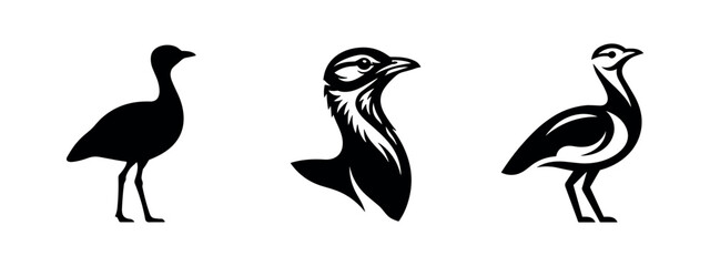 Obraz premium Bustard bird set, including detailed head profile, isolated on white background. Wildlife design elements.