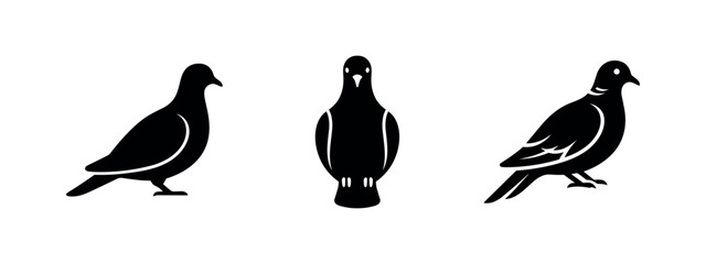 Fototapeta premium Pigeon Silhouette Icons Set - Vector Illustrations of Pigeons in Different Poses, Side and Front View