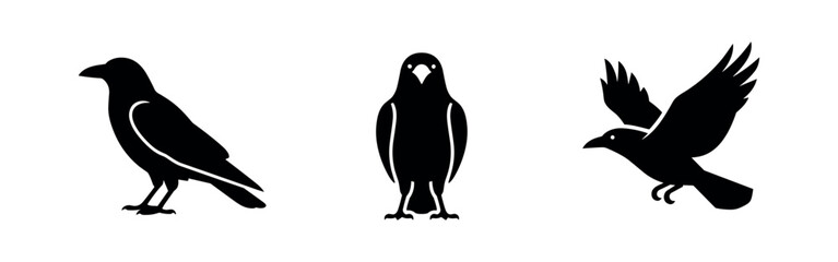 Obraz premium Crow Bird Silhouette Icons Set - Vector Illustrations of Black Crows in Standing and Flying Poses