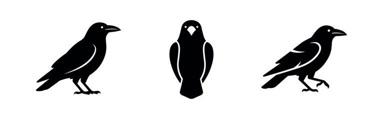 Obraz premium Crow Bird Silhouette Icons - Vector Set of Crows in Standing, Front, and Walking Poses