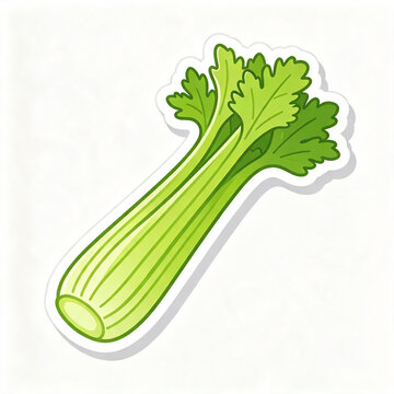 Single organic celery plant with fresh leaf top, cartoon style clipart cutout on white background