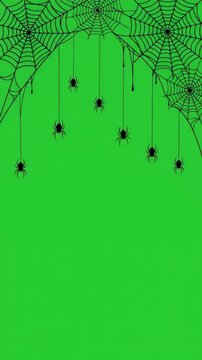 Black spider web and hanging spiders on green screen background for Halloween design overlay