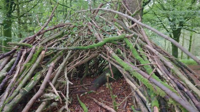 View of a forest school shelter built from branches and logs in a lush woodland setting in Looe, Cornwall, United Kingdom.