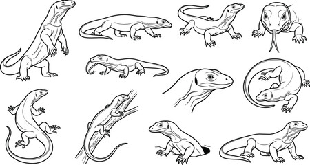Obraz premium Hand Drawn Lizard Line Art Collection with Lizards, Geckos, Reptiles, Crawling, Climbing, Resting, and Detailed Wildlife Illustrations