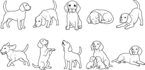 Fototapeta premium Hand Drawn Dog Line Art Collection with Playful Puppies, Sitting, Running, Sleeping, Standing, and Adorable Domestic Canine Illustrations