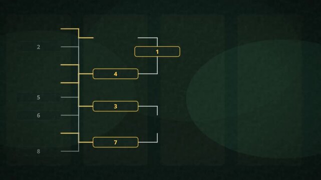 Animated Tournament Bracket Animation Sports Bracket Tree Motion Graphic