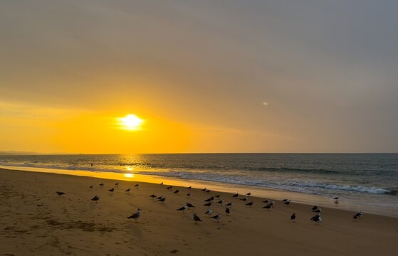 Big sun and sea sunset backgraund