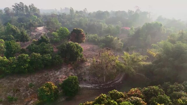Aerial drone shot of deforested hillside with regenerating vegetation in misty forest environment