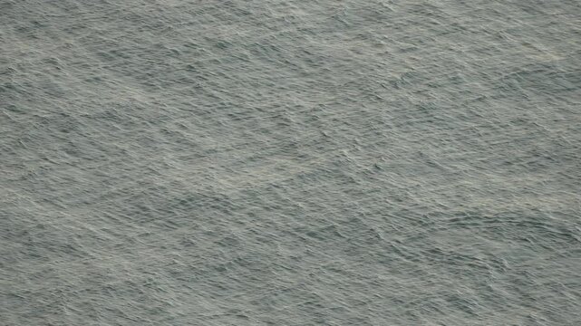 Ocean surface patterns ripple as a lone dolphin glides through the deep open water. Aerial high angle long shot.